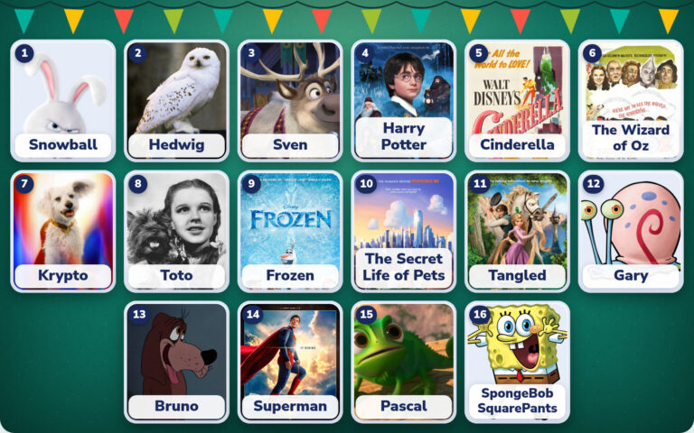 Famous Pets Match-Up