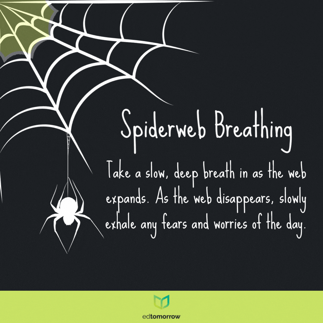 Spiderweb Breathing