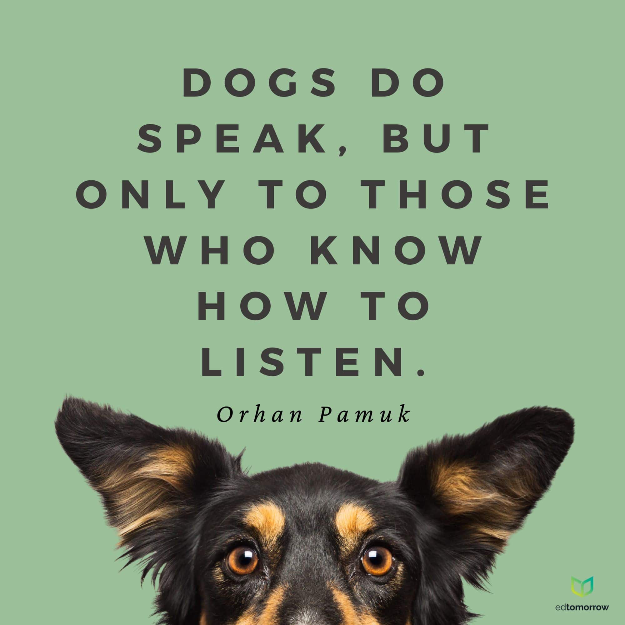 Dogs Are Amazing