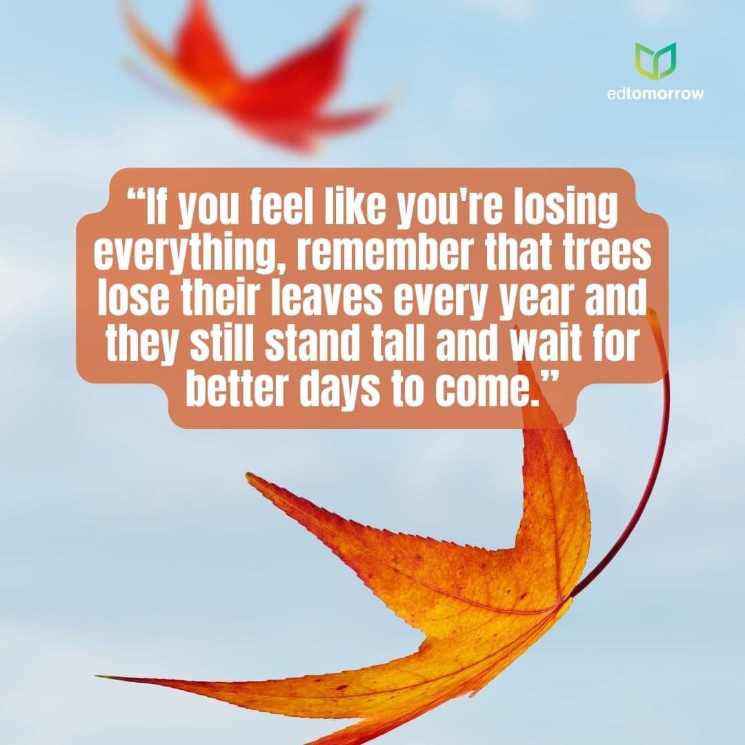 Trees Lose Their Leaves Every Year