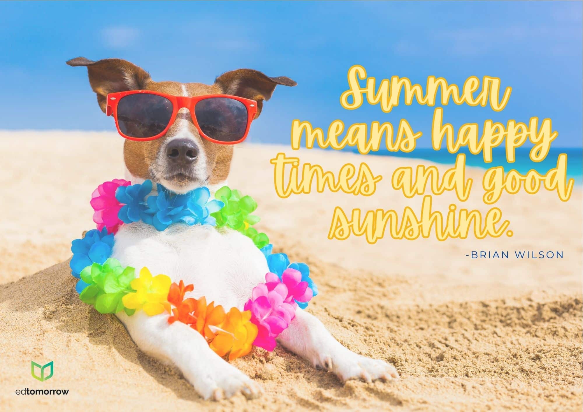 Summer Good Times
