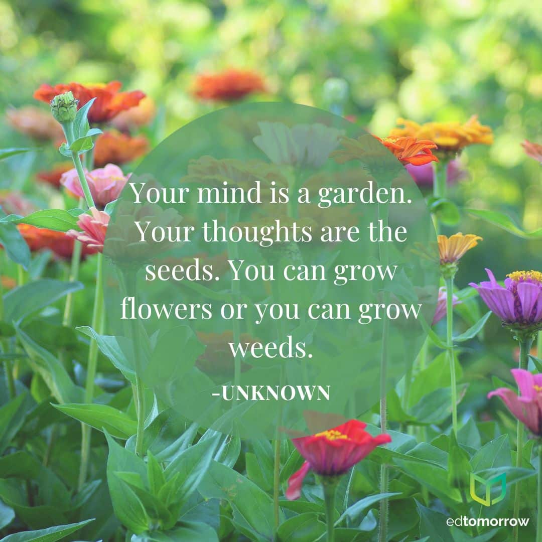 Mind Is A Garden Thoughts Are Seeds