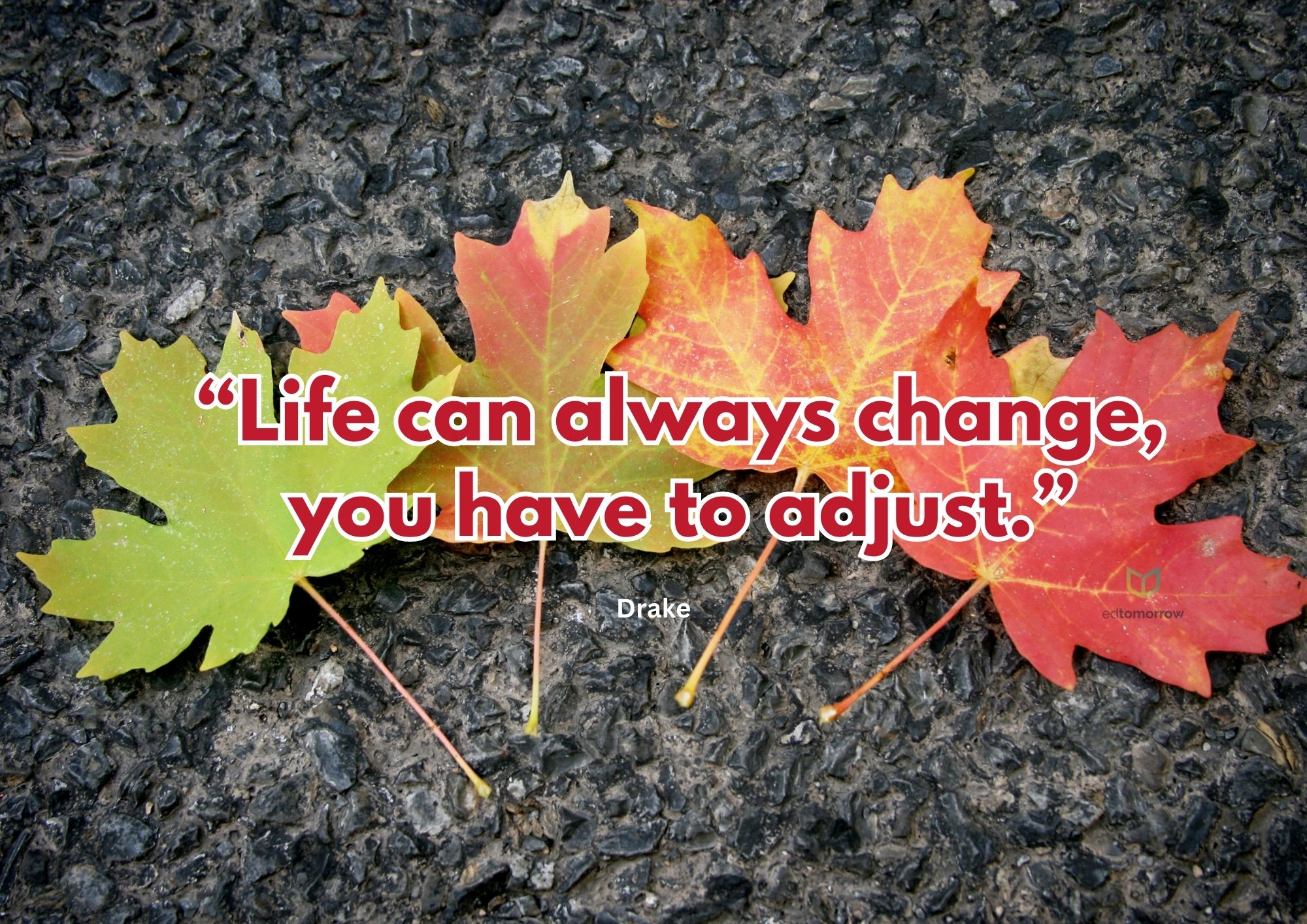 Life Can Change You Have To Adjust