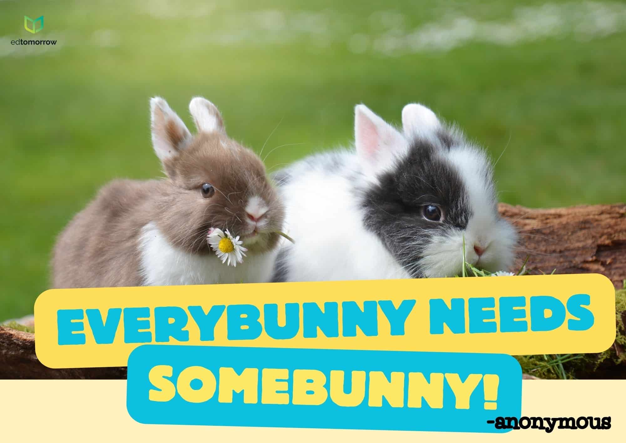Everyone Needs Somebunny Bunnies