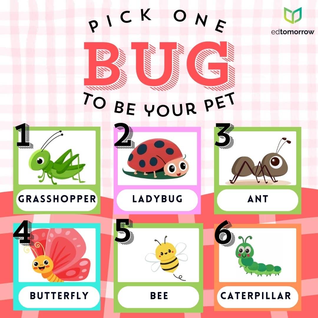 Pick One Bug to Be Your Pet
