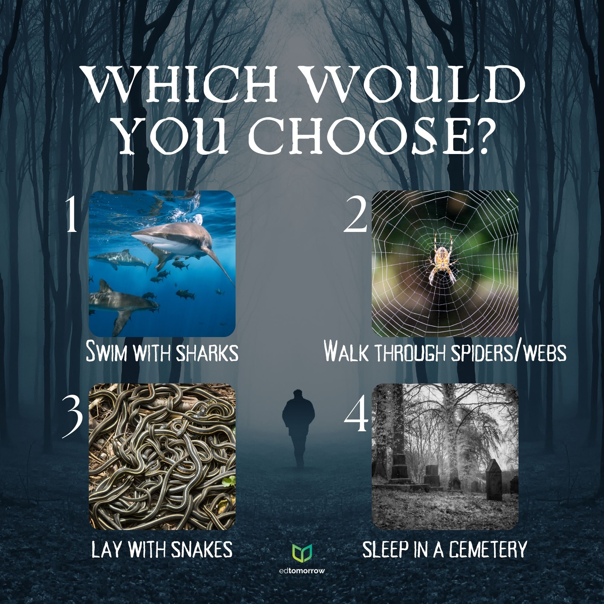 Facing Fears Choice