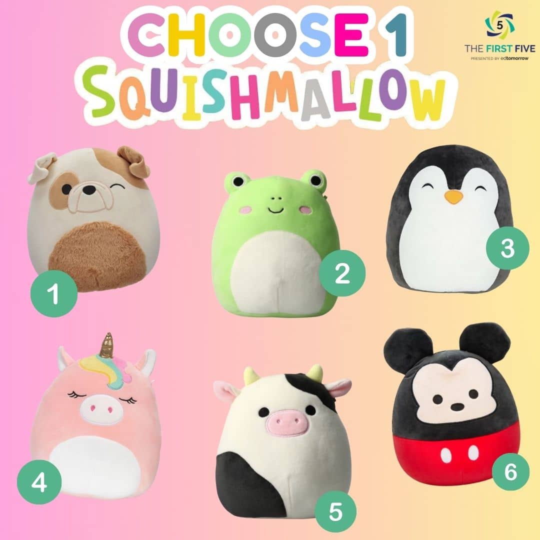 Choose Your Squishmallow