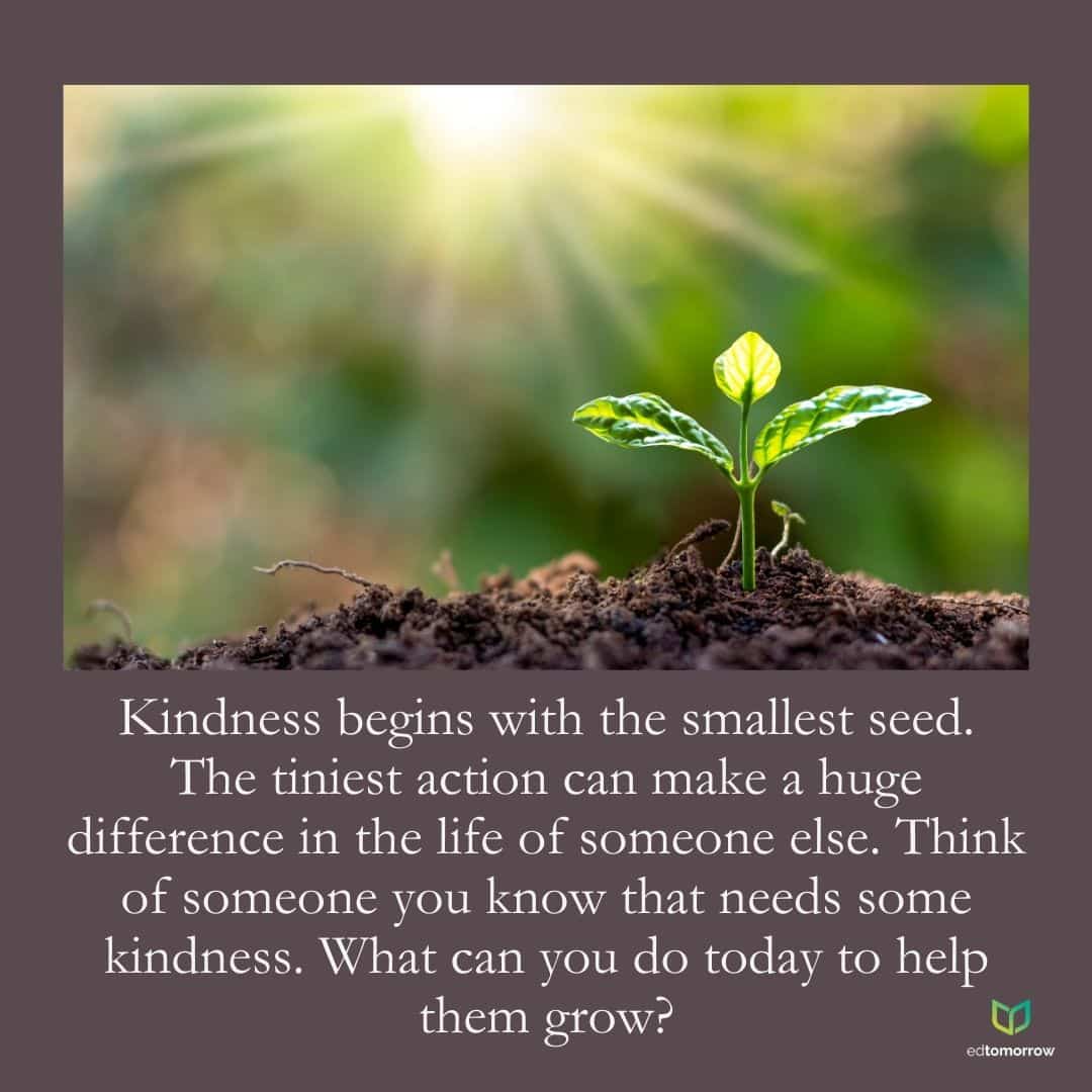 Small Seeds of Kindness