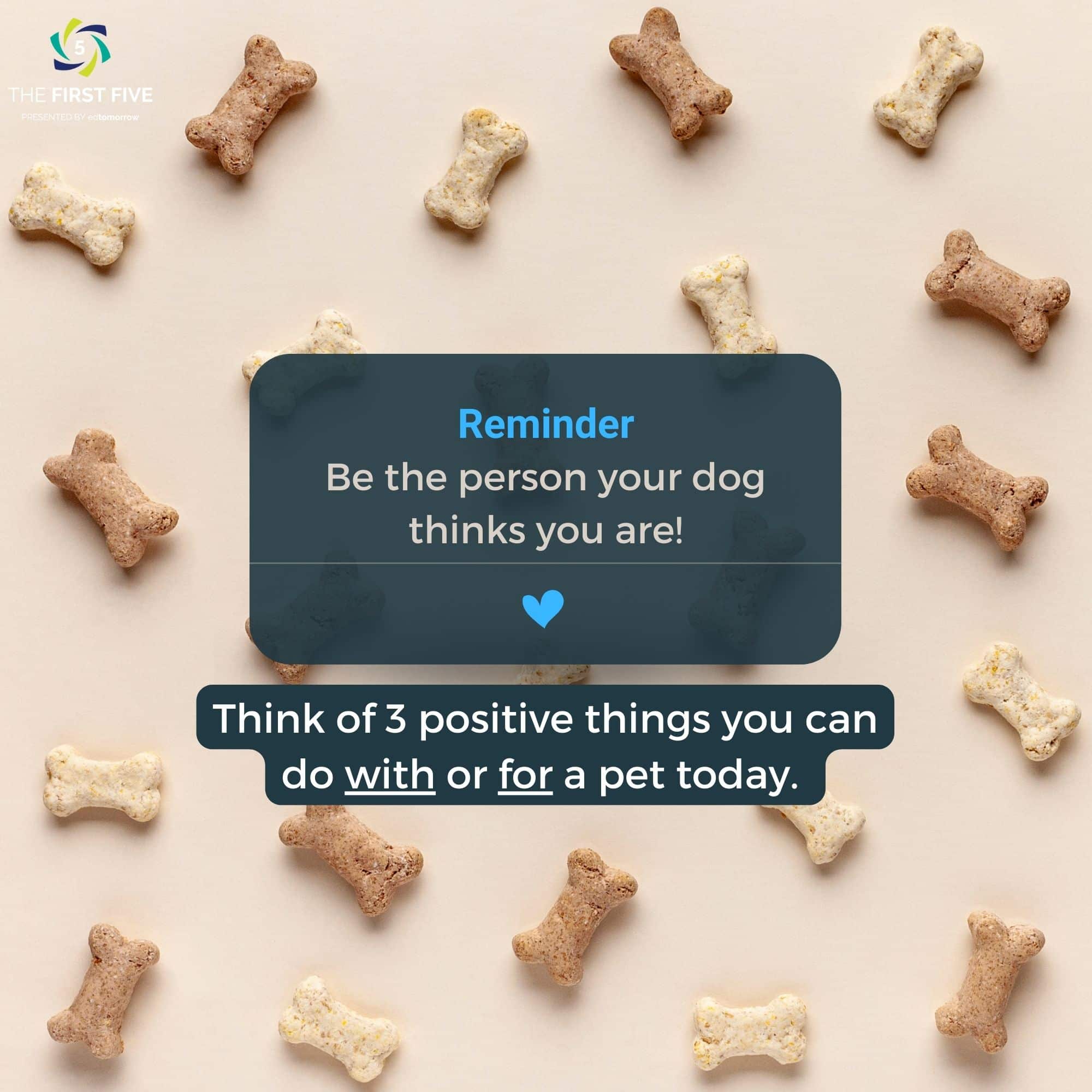 Be Your Pets Hero