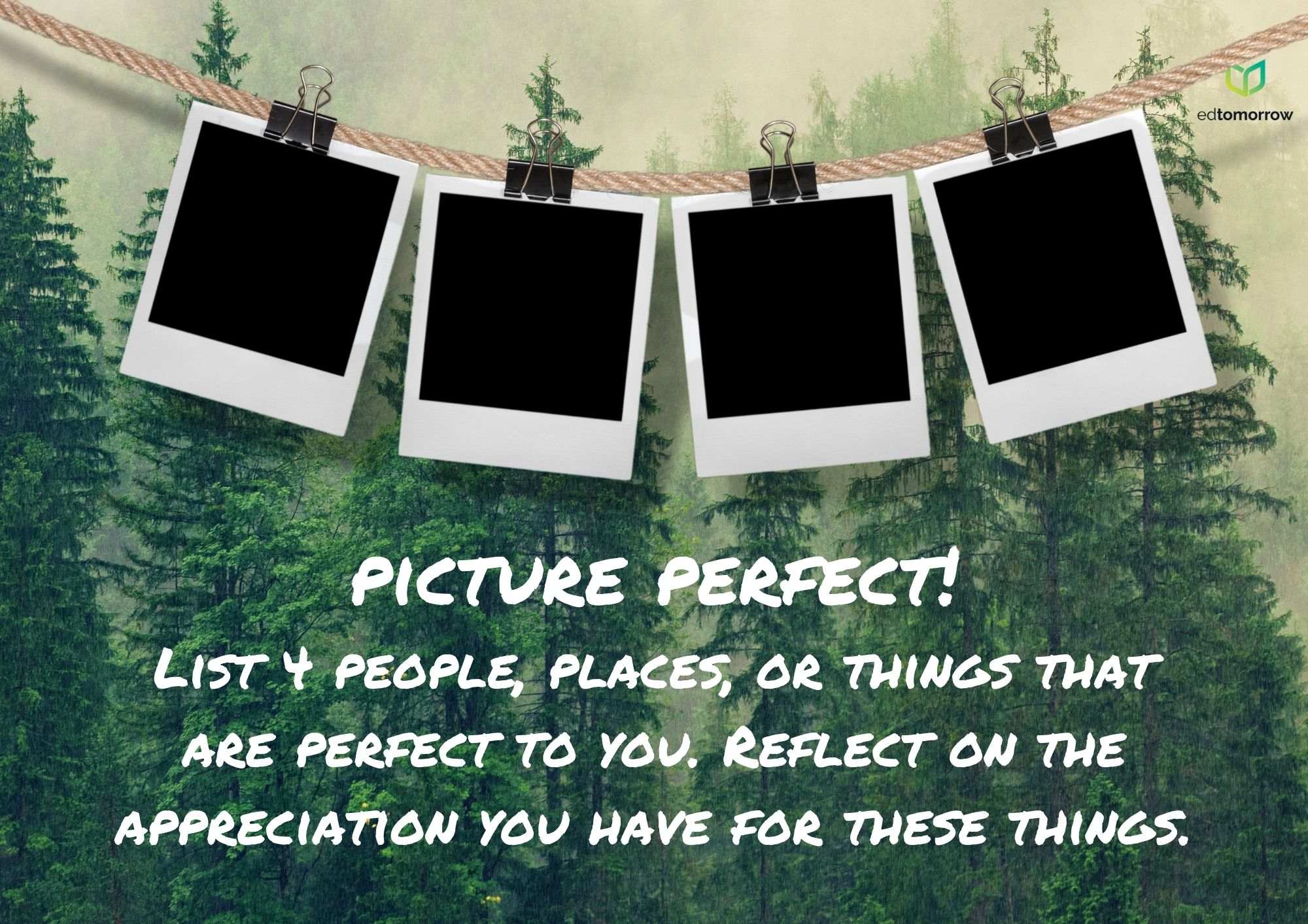 Picture Perfect Reflections