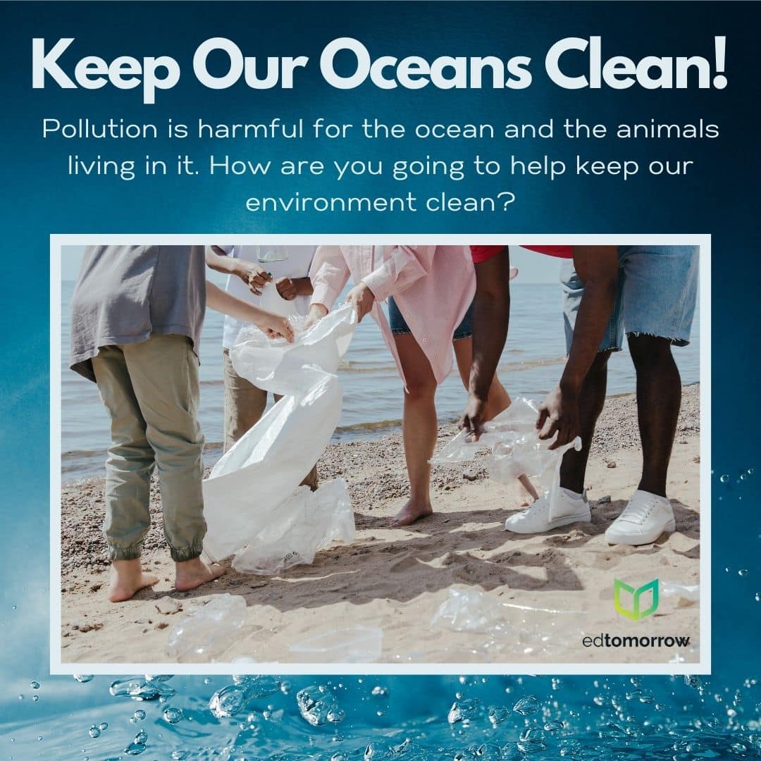 Clean Our Oceans