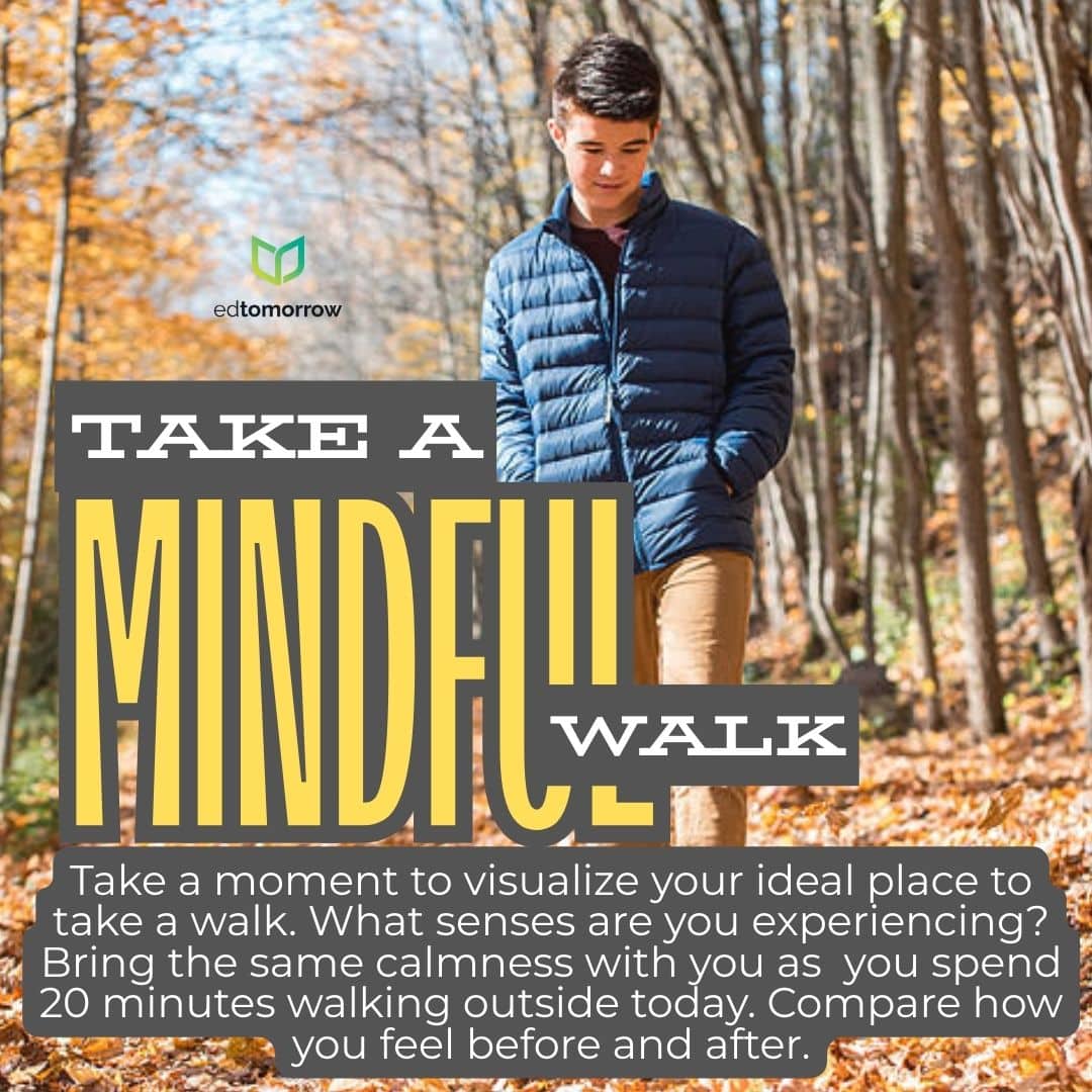 Mindful Walk