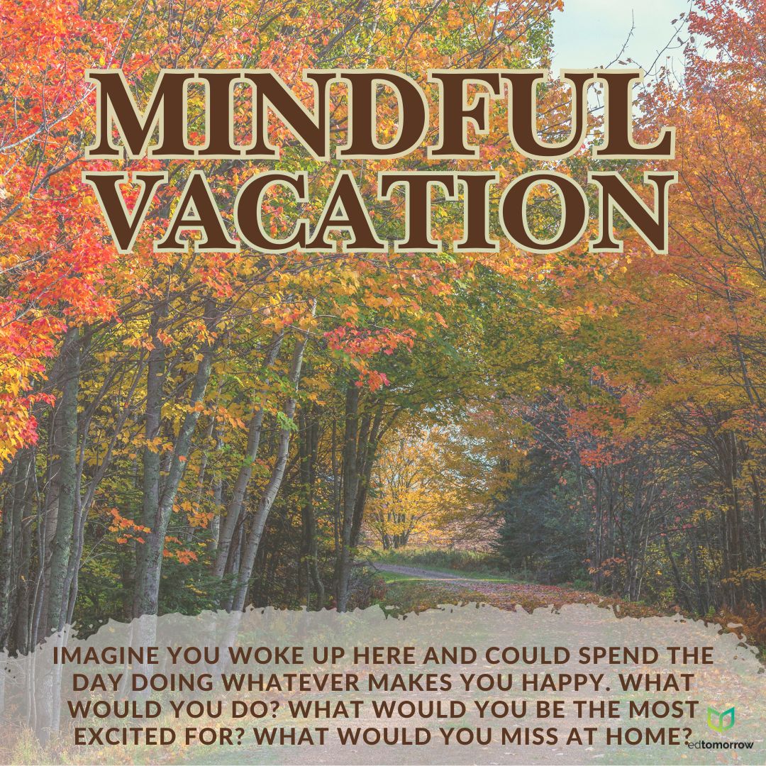 Mindful Vacation