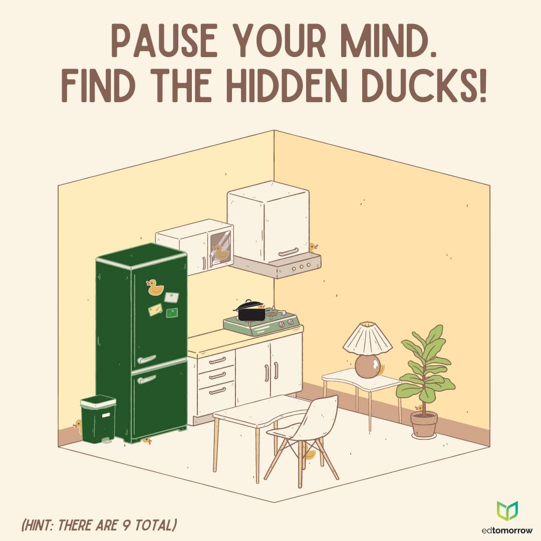 Find the Ducks