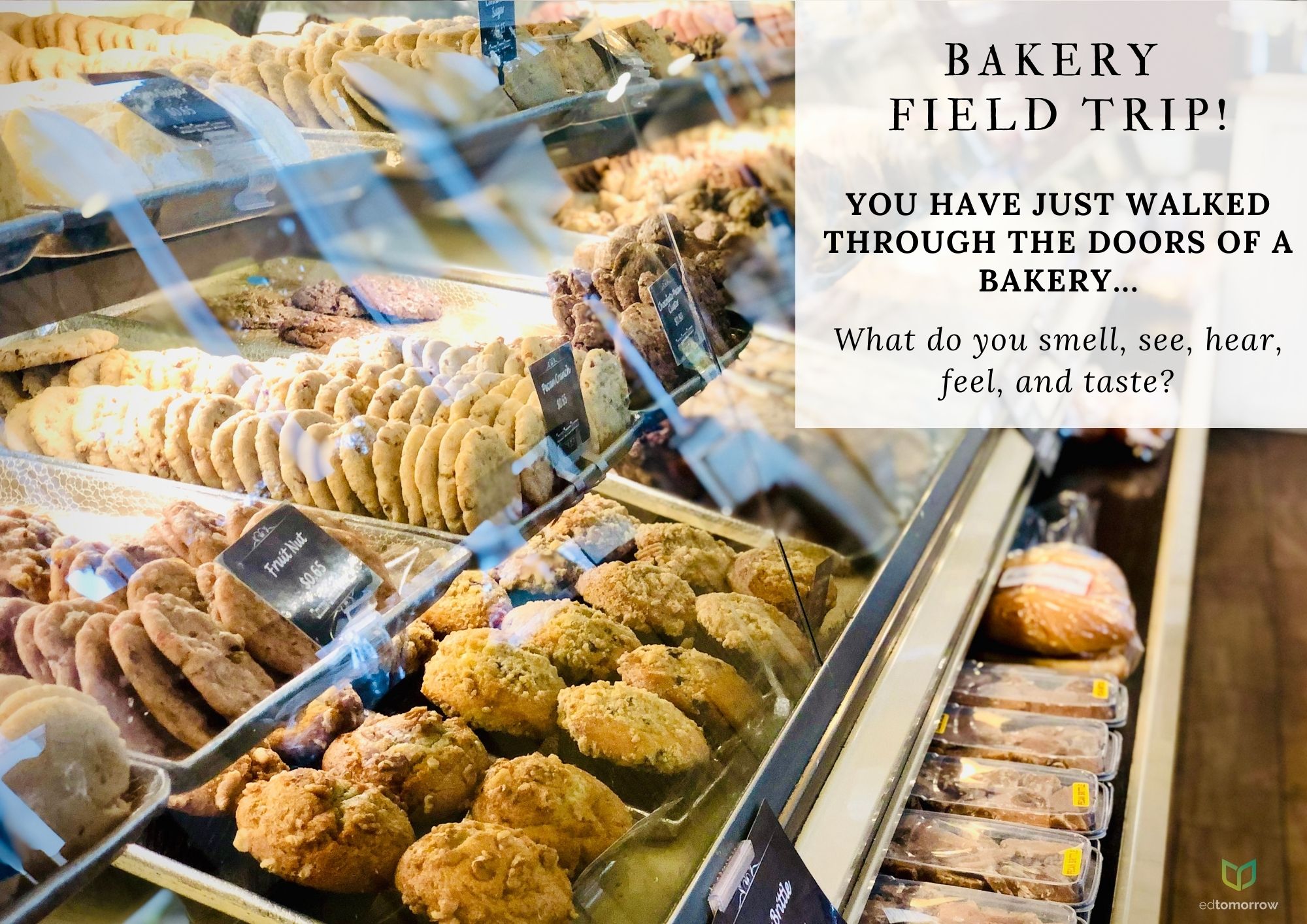 Bakery Field Trip