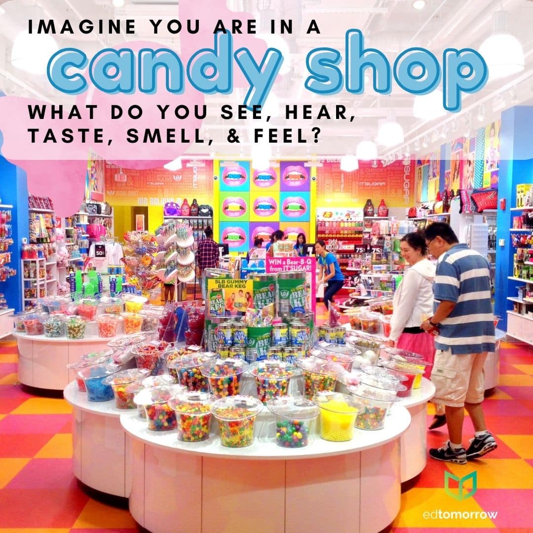 Five Senses Sweets Shop