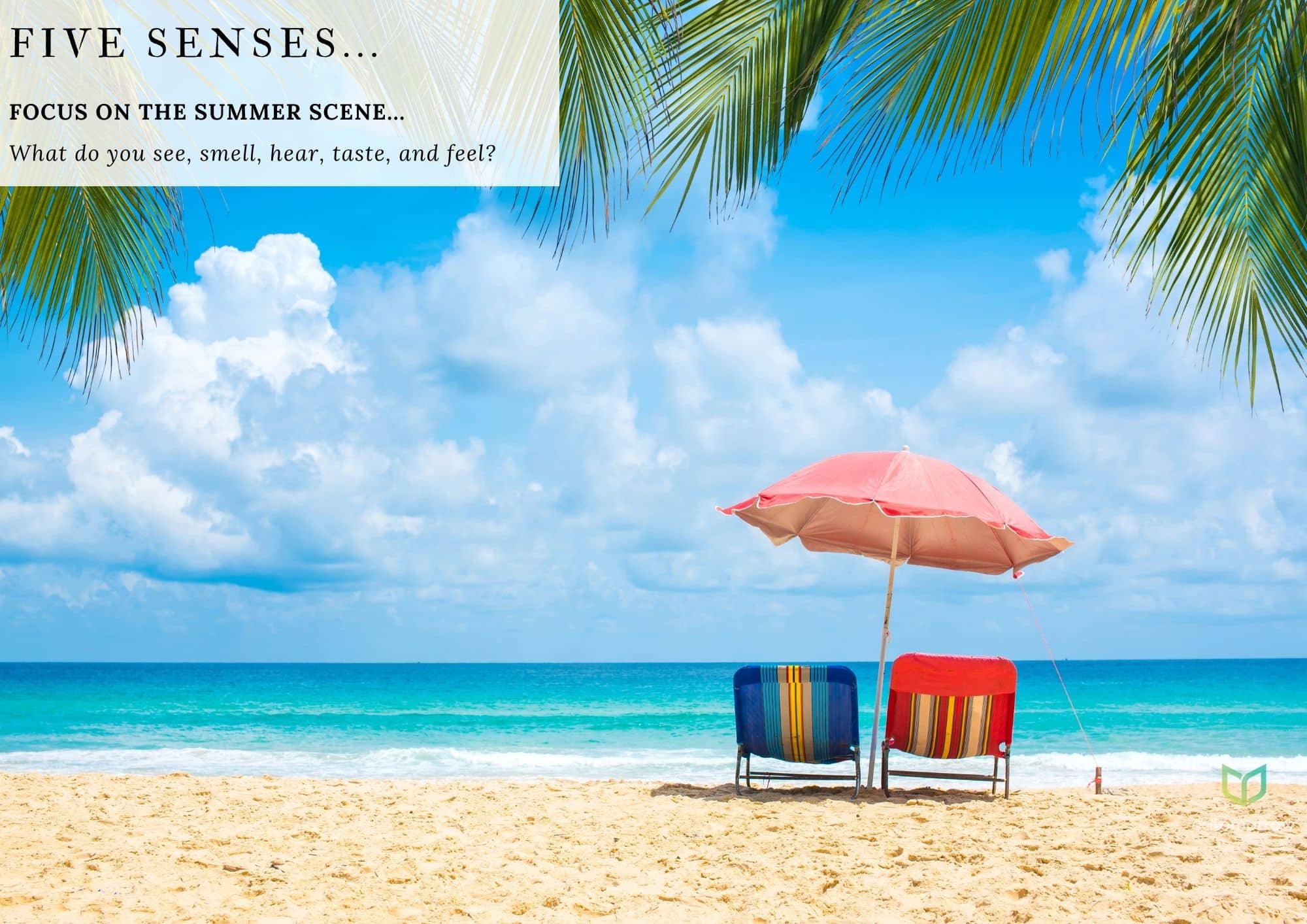 Five Senses Summer Beach