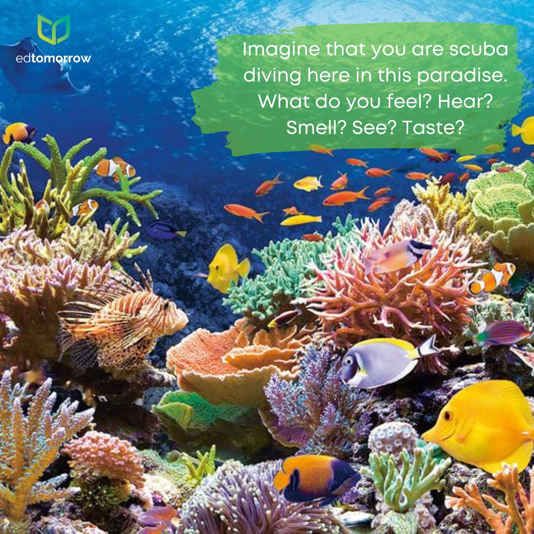 Five Senses Scuba