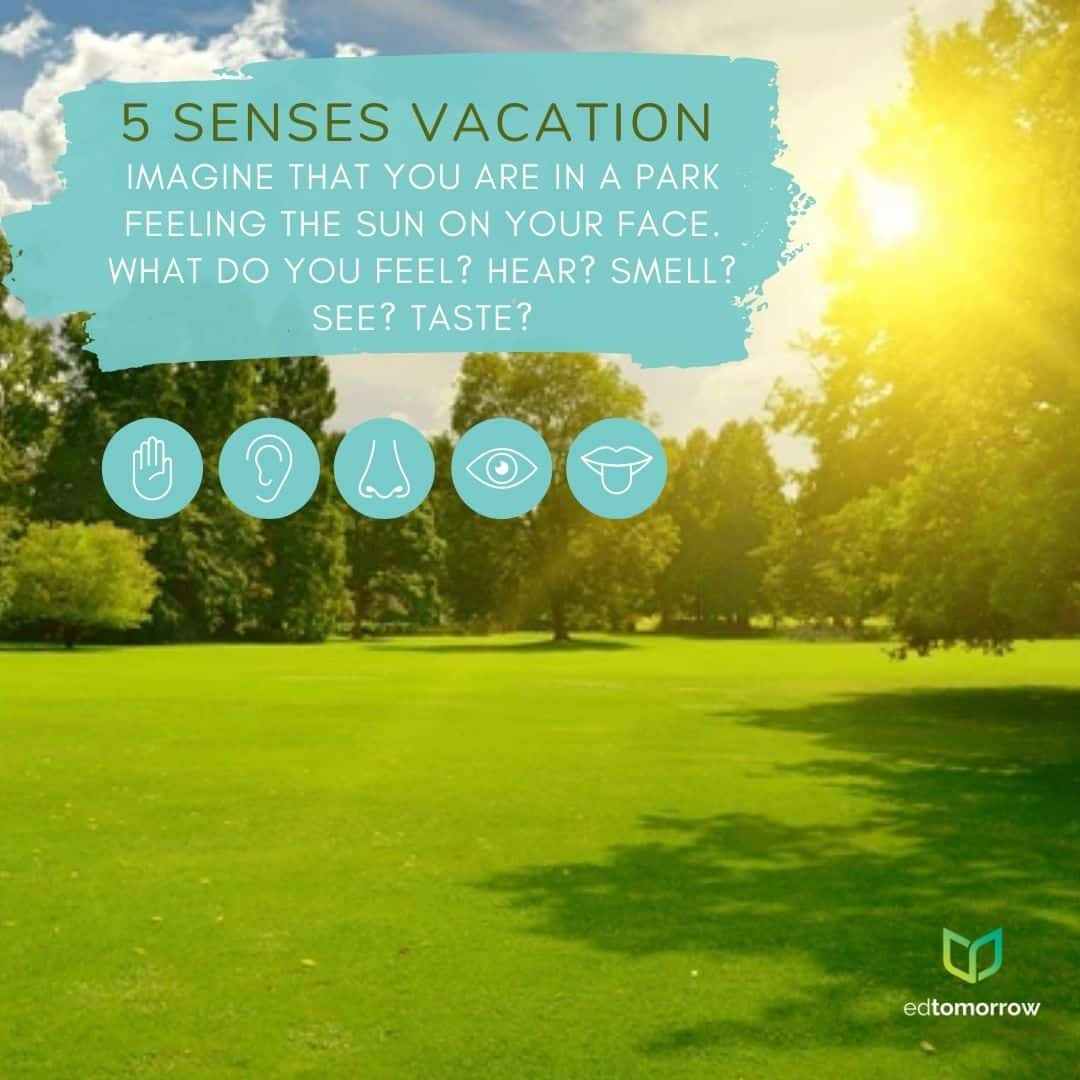Five Senses Sensations