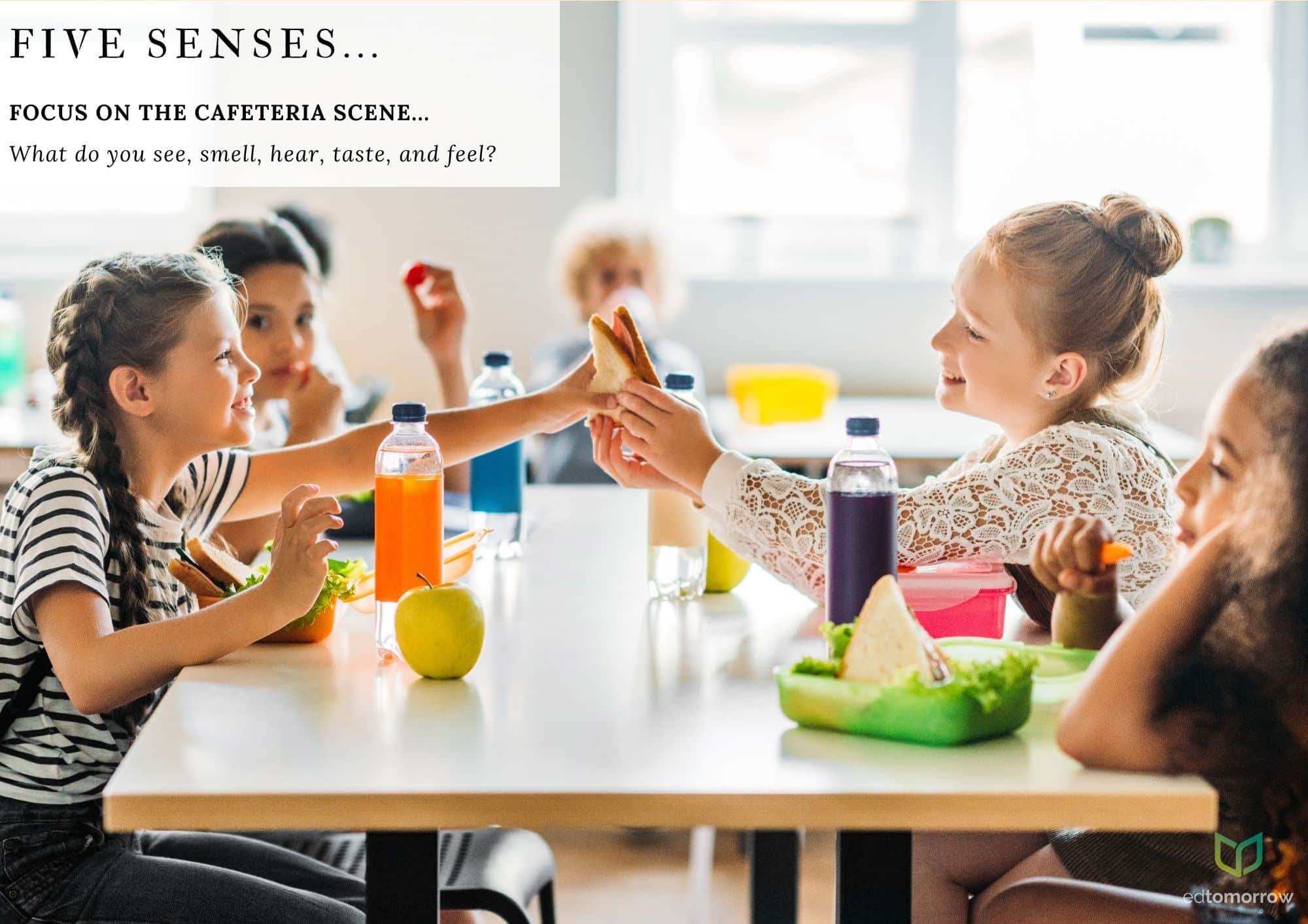Five Senses Cafeteria Friends