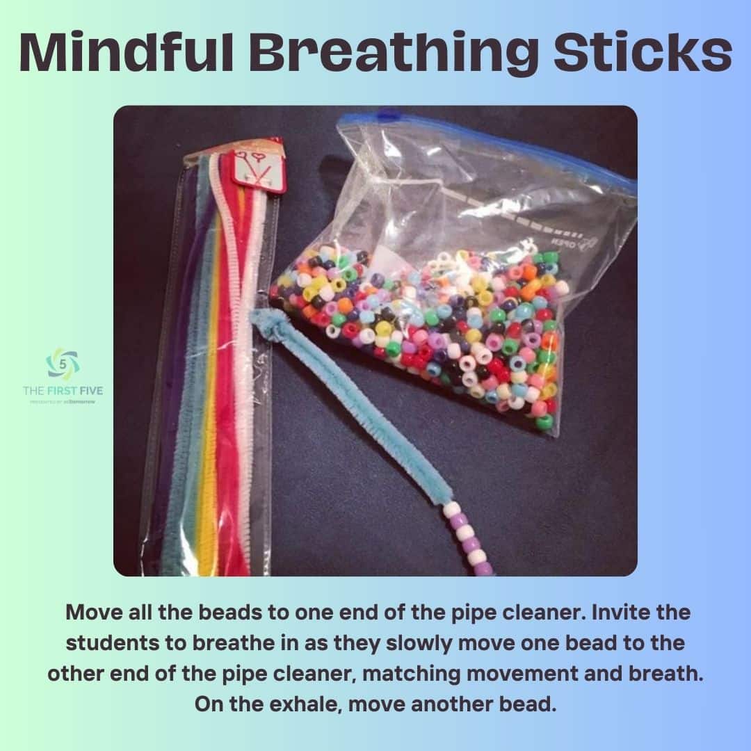 Beaded Pipe Cleaner Breathing