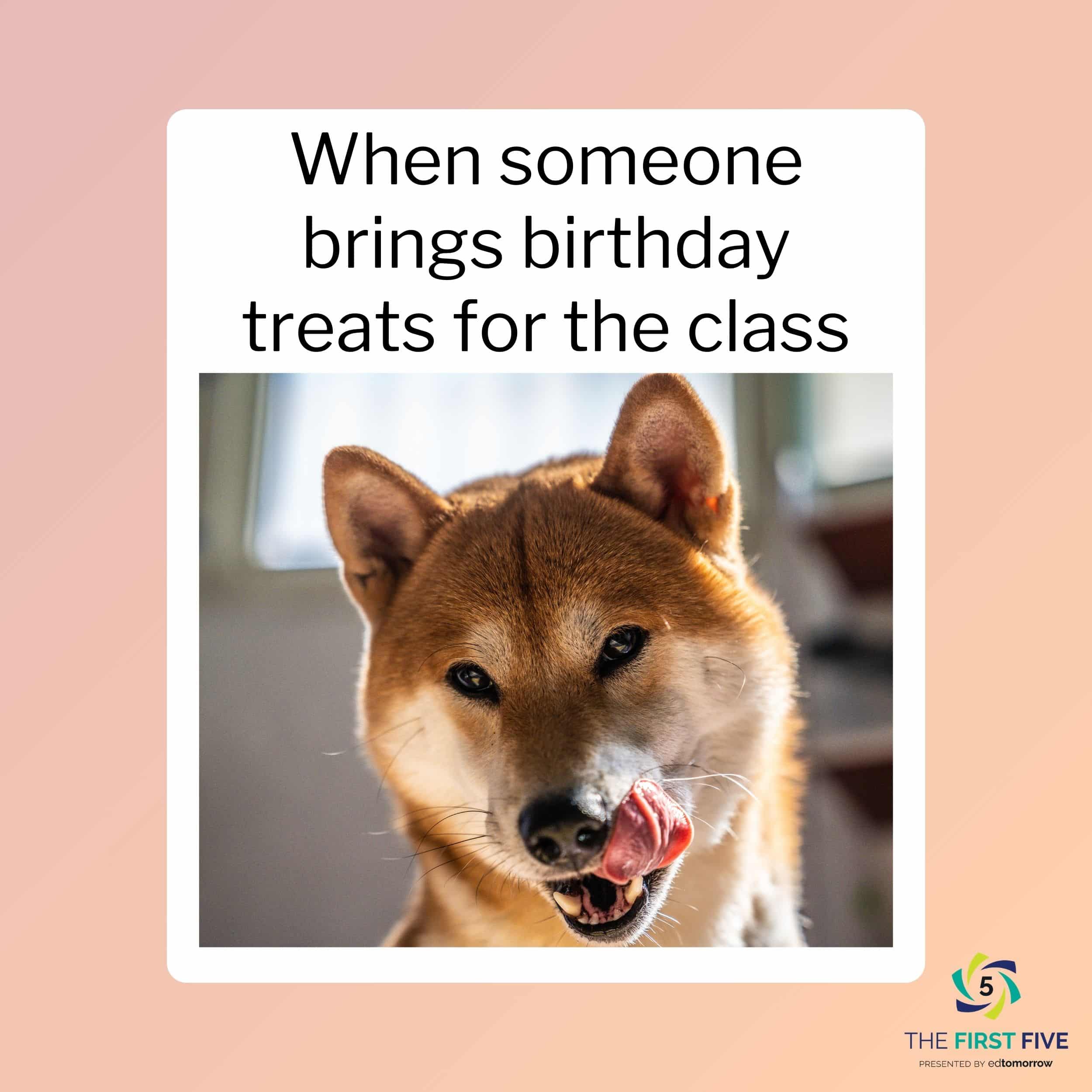 Dog Reaction to Birthday Treats for the Class