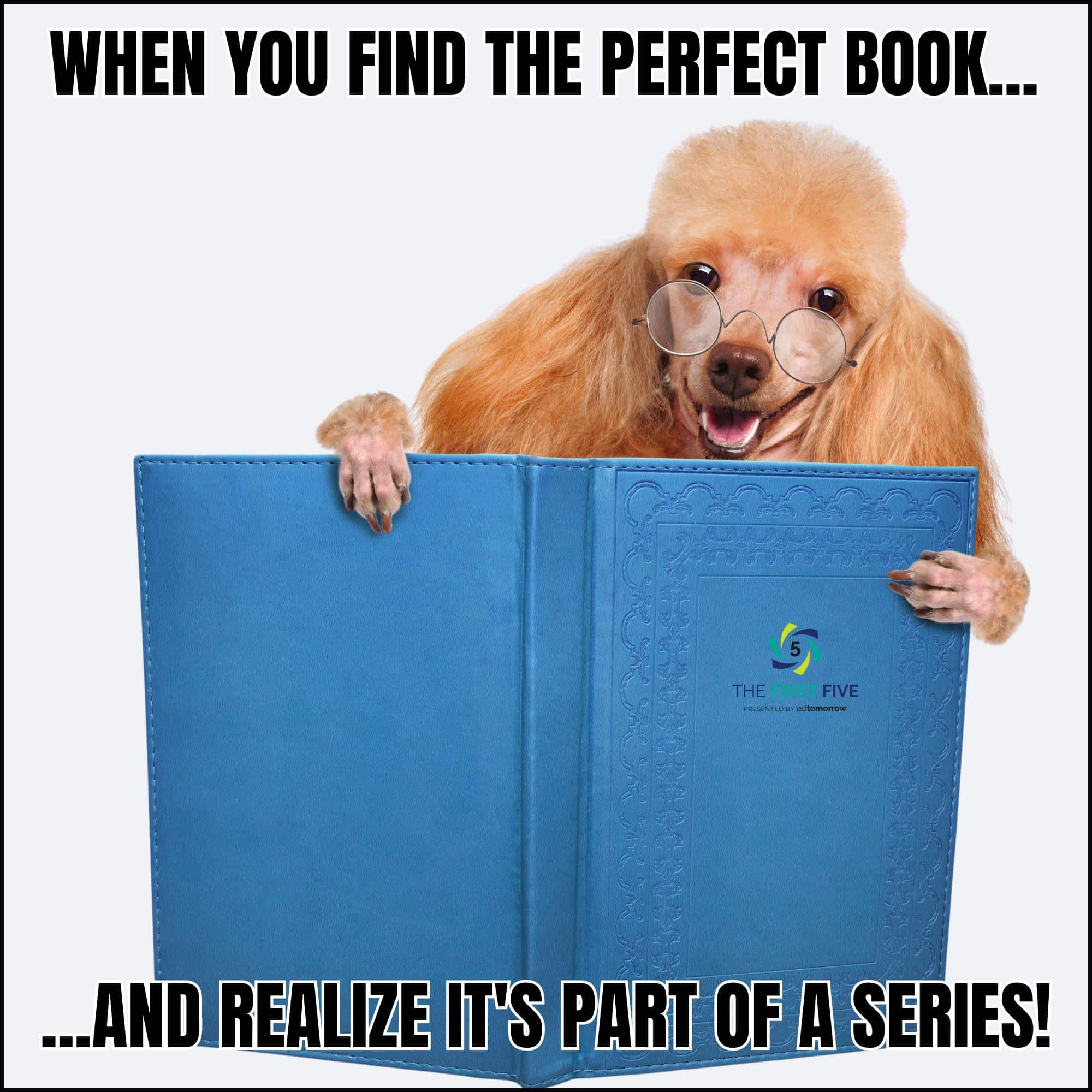 Dog Discovering a Book Series