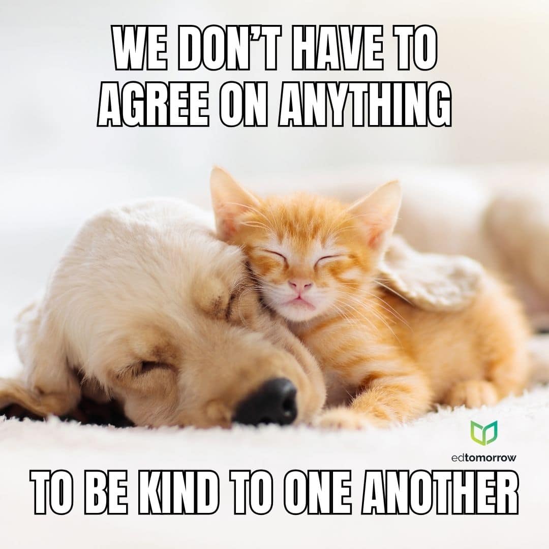 Cat and Dog Being Kind to One Another
