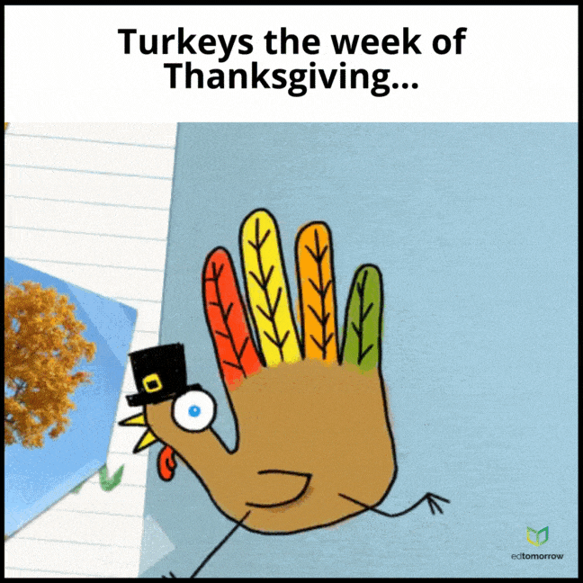 Turkeys the Week of Thanksgiving