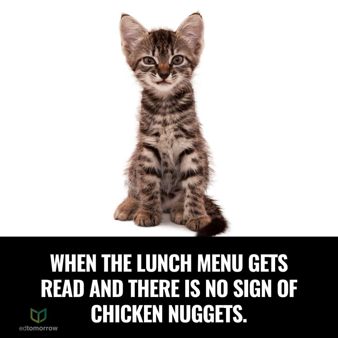Where Are The Nuggets