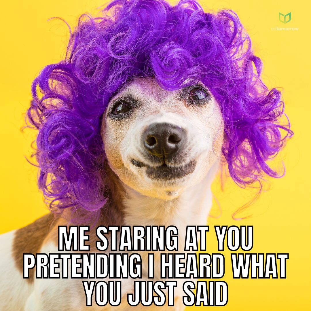 What Did You Say