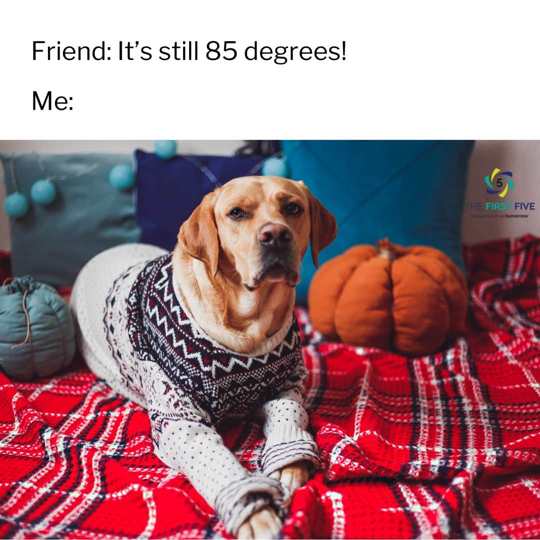Sweater Weather