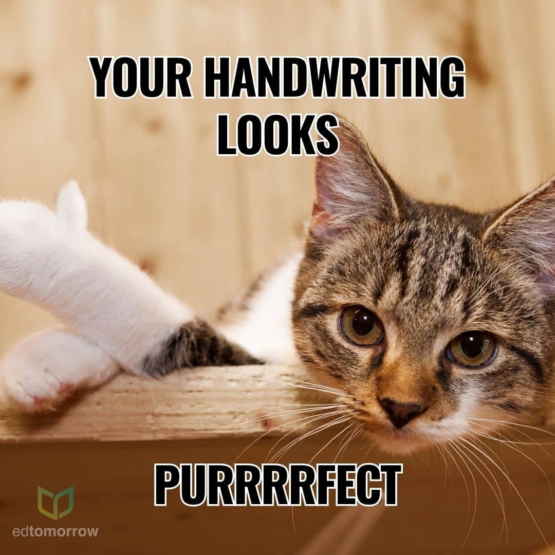Purrrrfect Penmanship