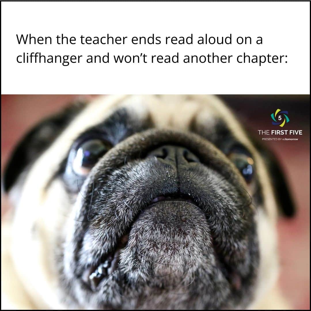 Please One More Page