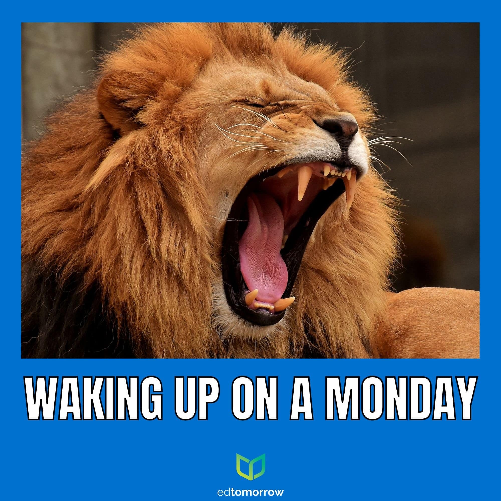 Monday Roar