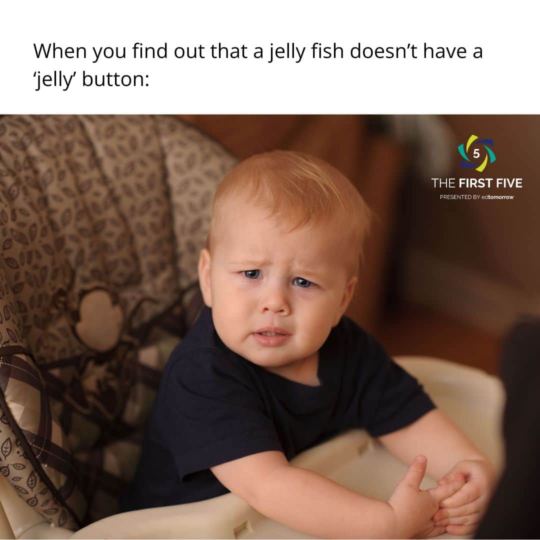 Jelly Fish Funny