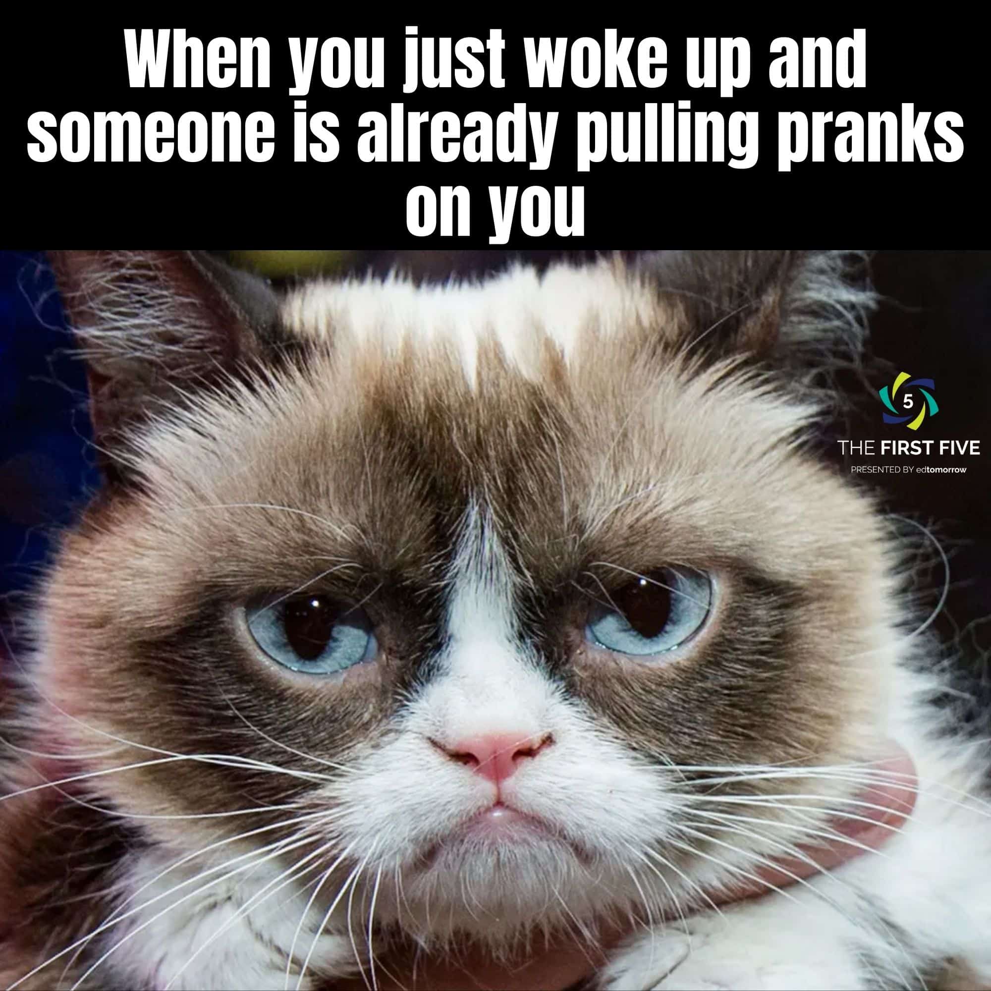 I Just Woke Up