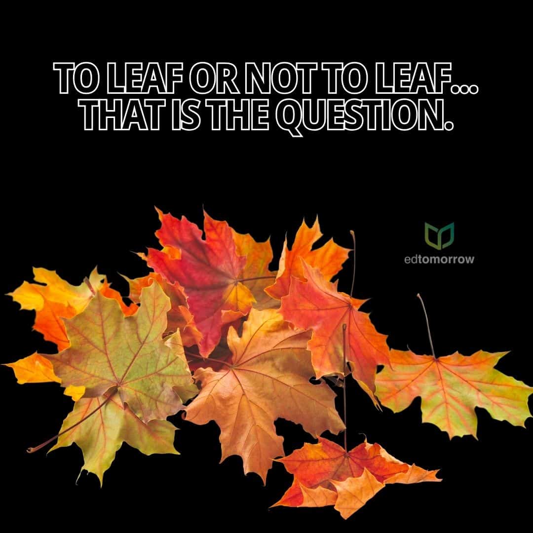 Good Leaf Question