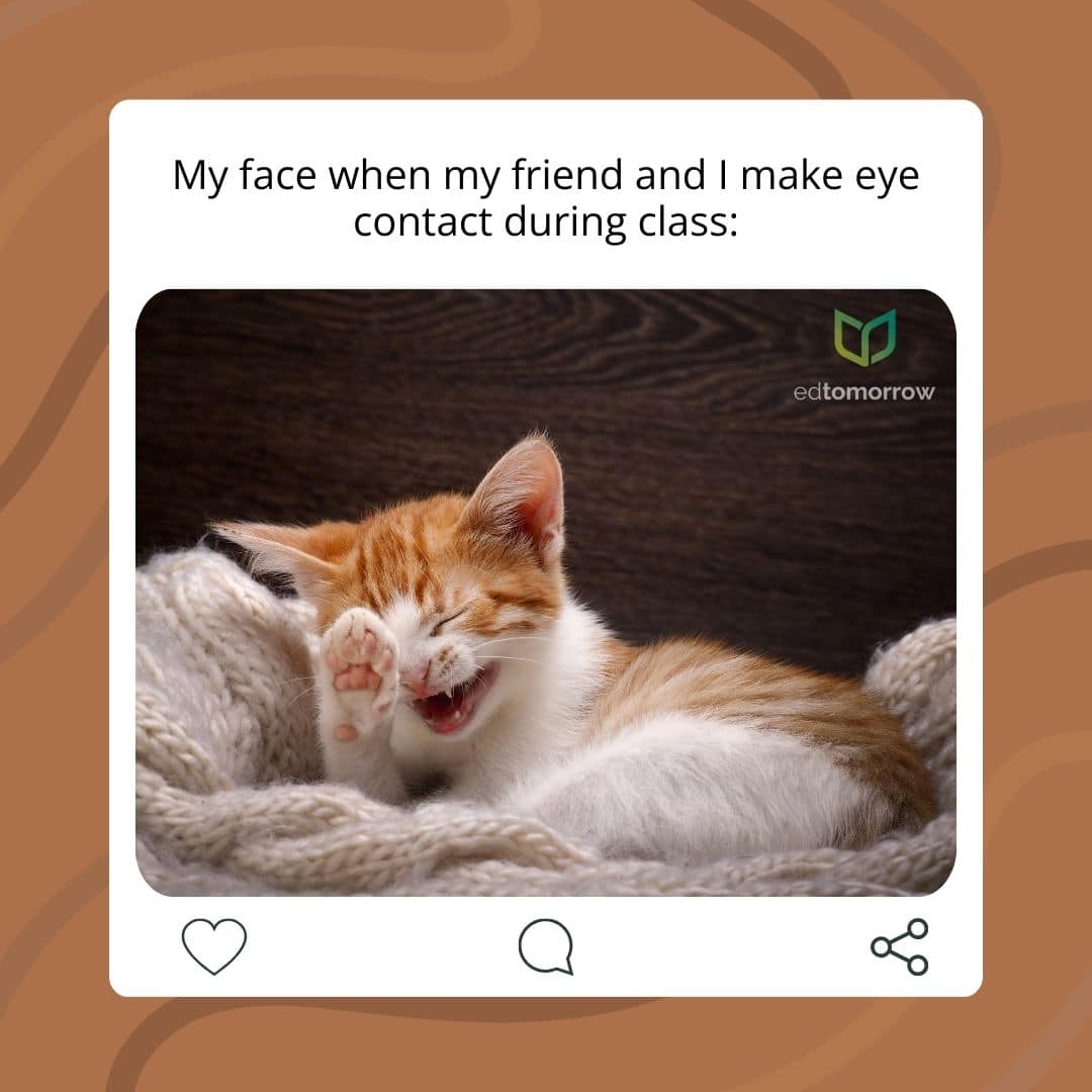 Friendly Eye Contact