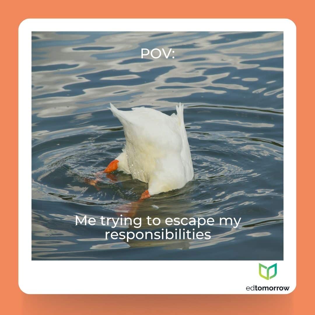 Ducking Responsibility