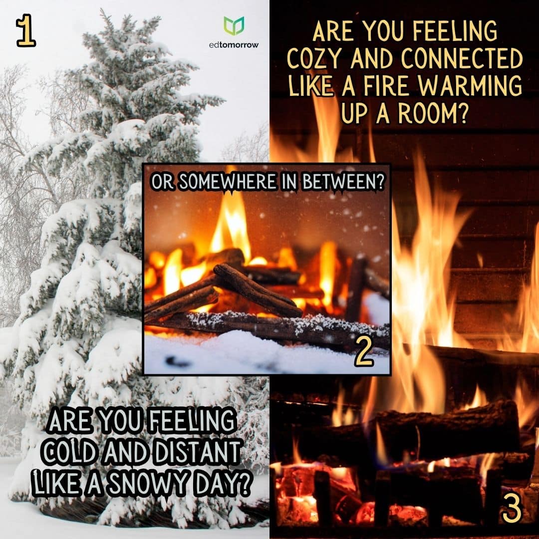 Winter Check In