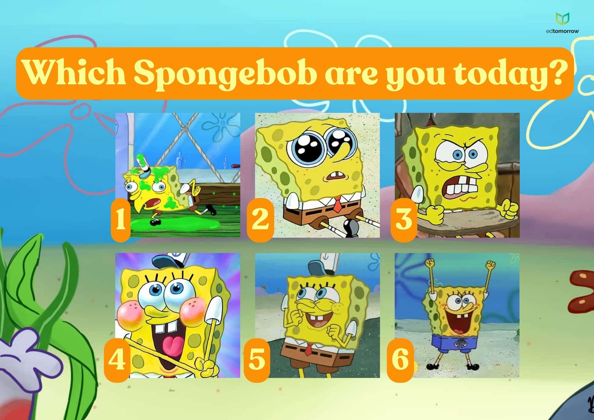 Spongebob 6 Check In