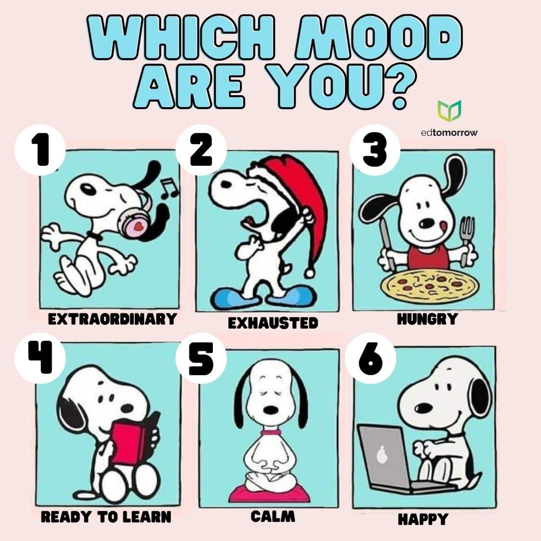Snoopy 6 Check In