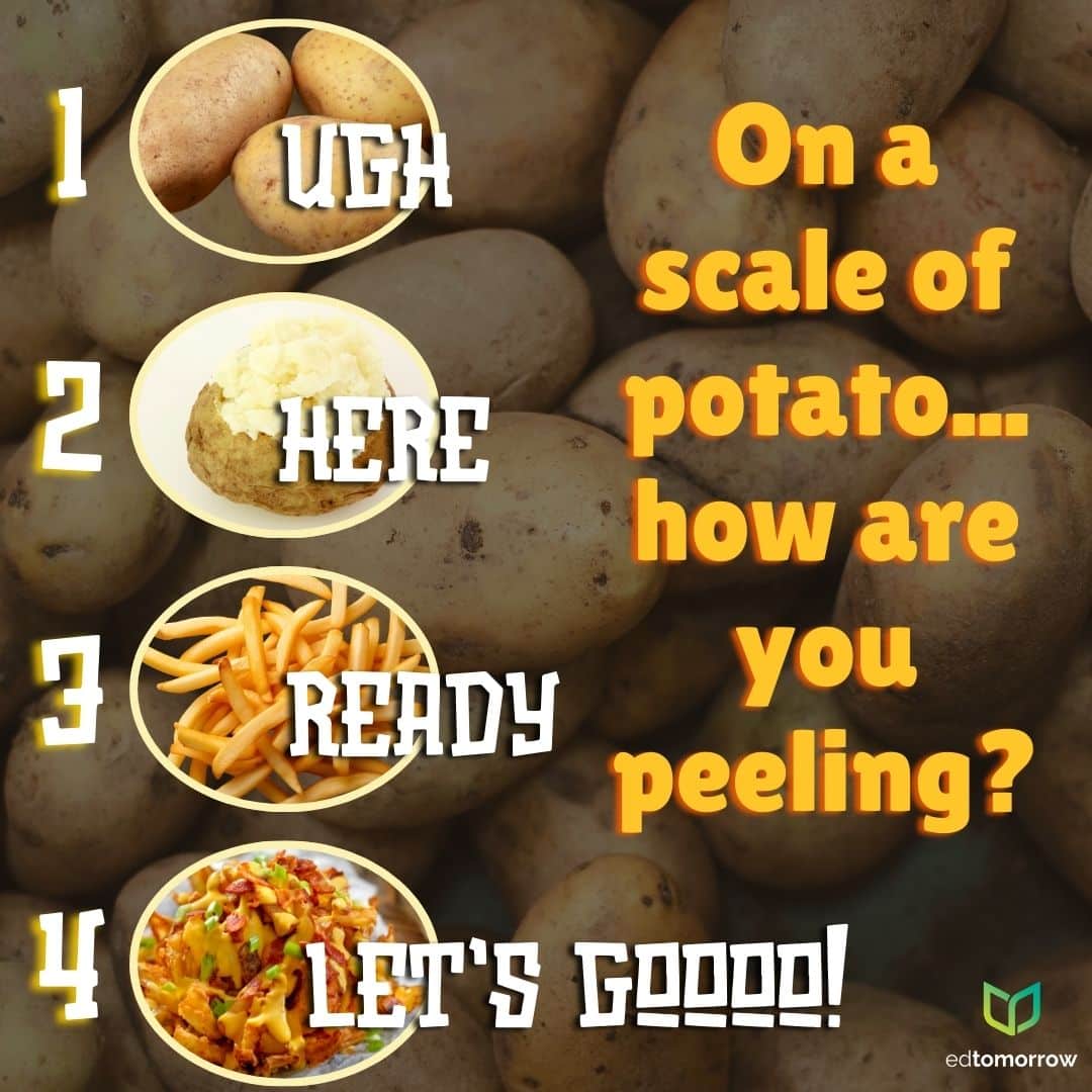 Potato Scale 1 4 Check In