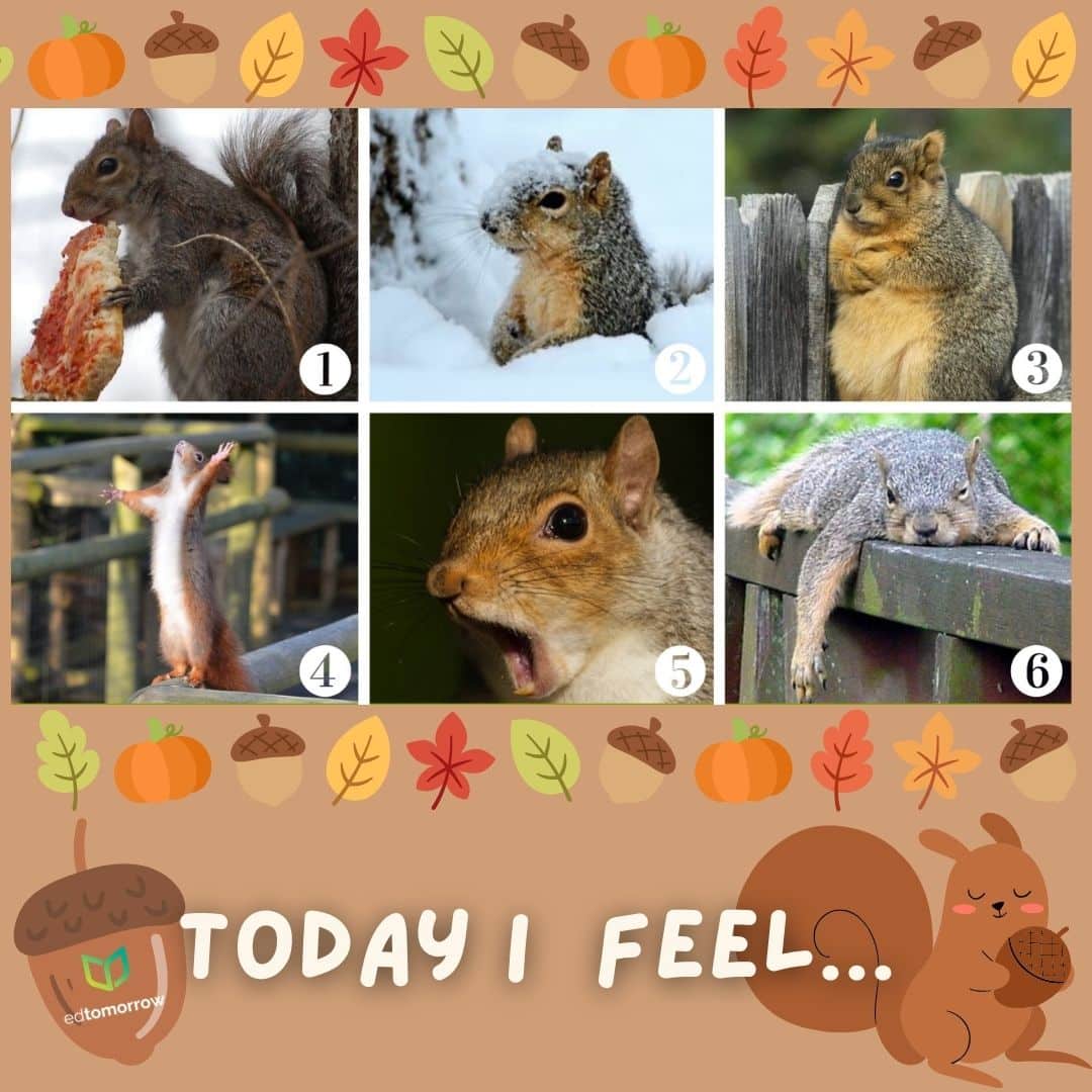 Pesky Squirell Check In