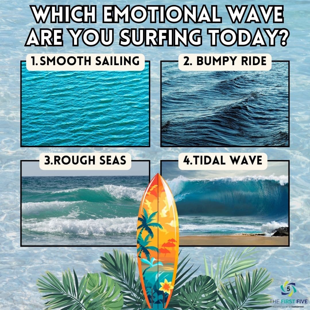 Emotional Wave Check In