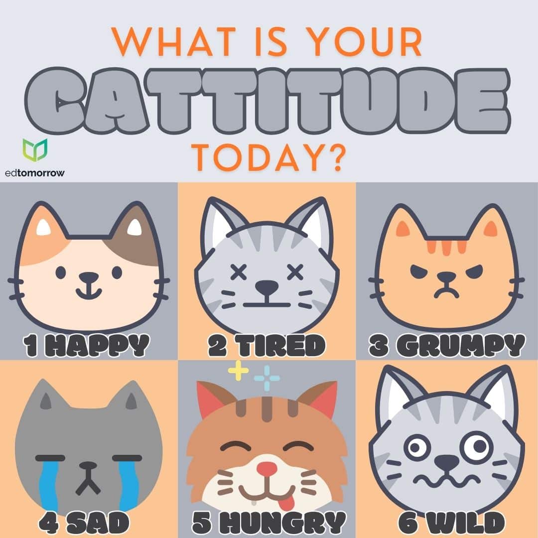Cat Mem Check In Cattitude Check In - First Five PLUS