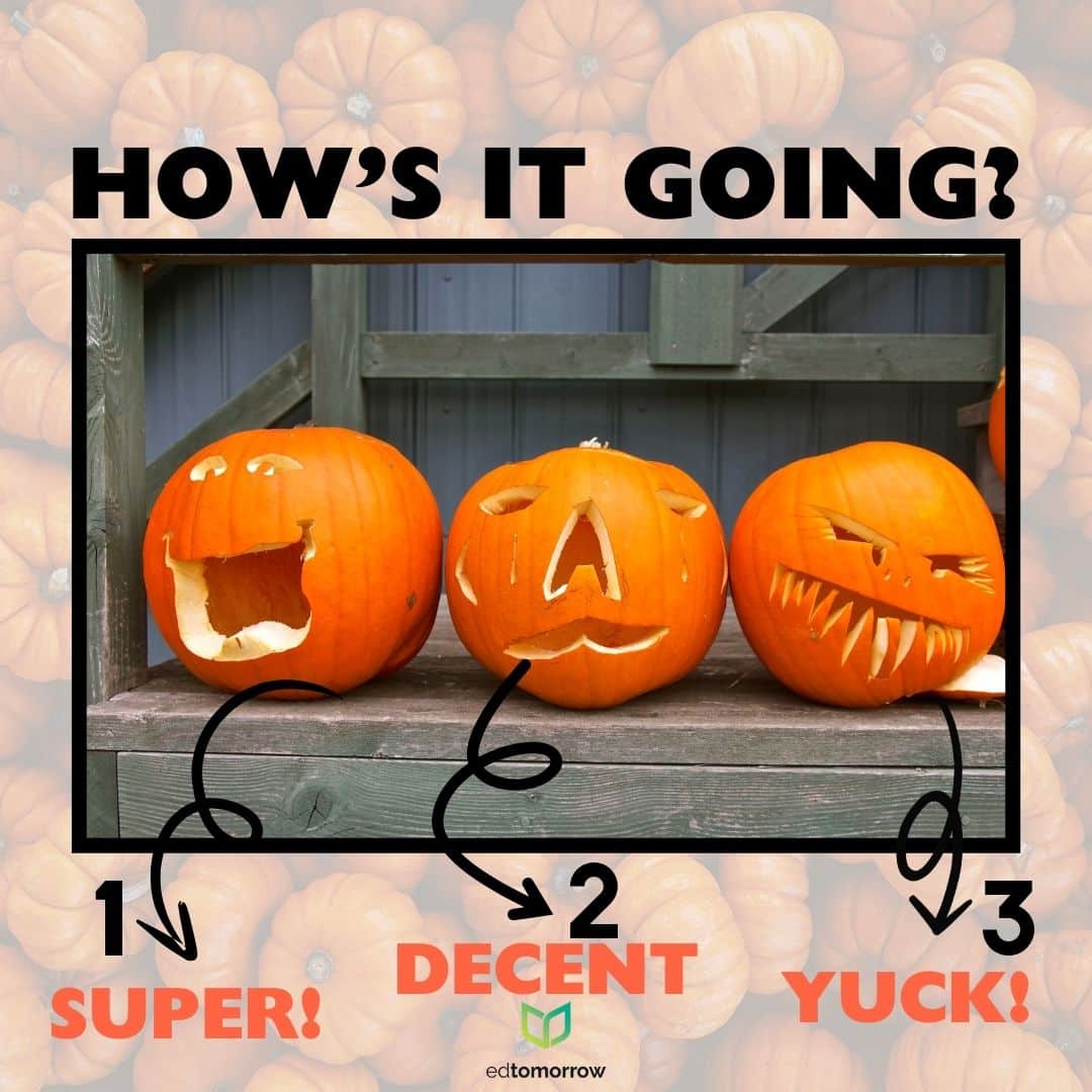 Carved Pumpkins Check In