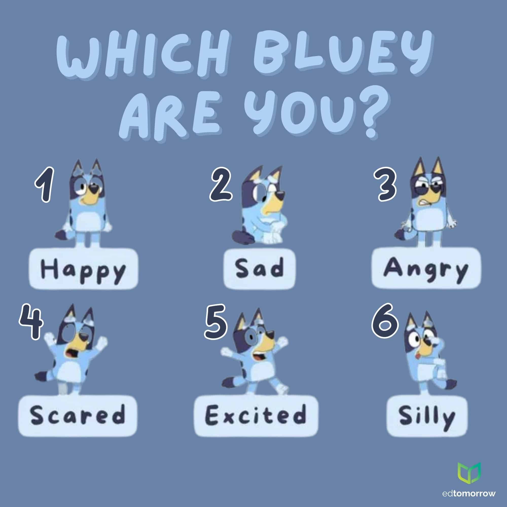 Bluey 6 Check In