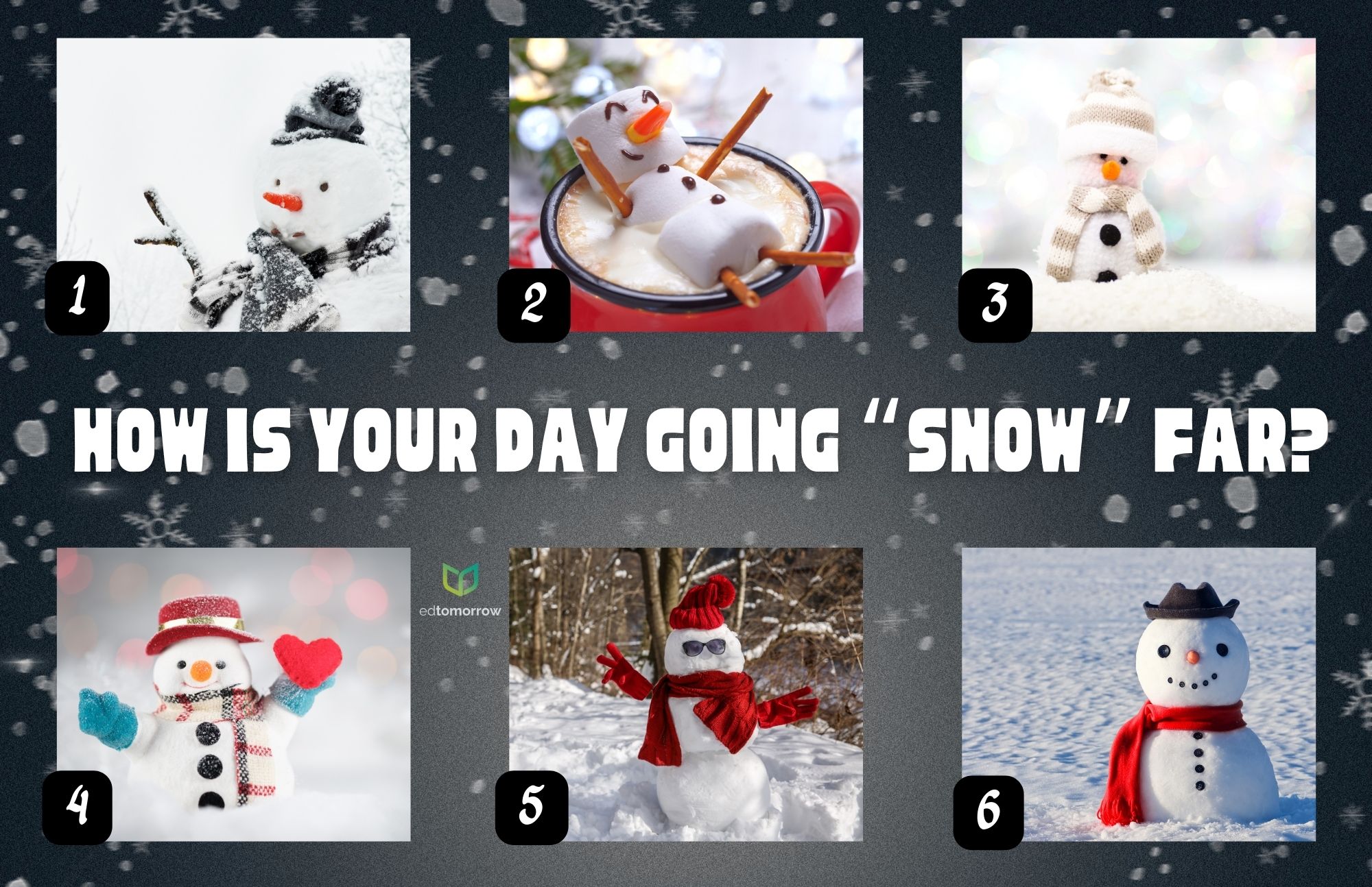 Your Day Snow Far Check In